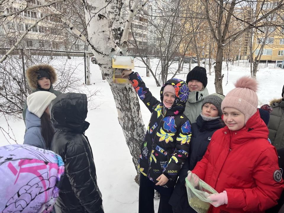 Дети взяли семечки и наполнили все школьные кормушки кормом..