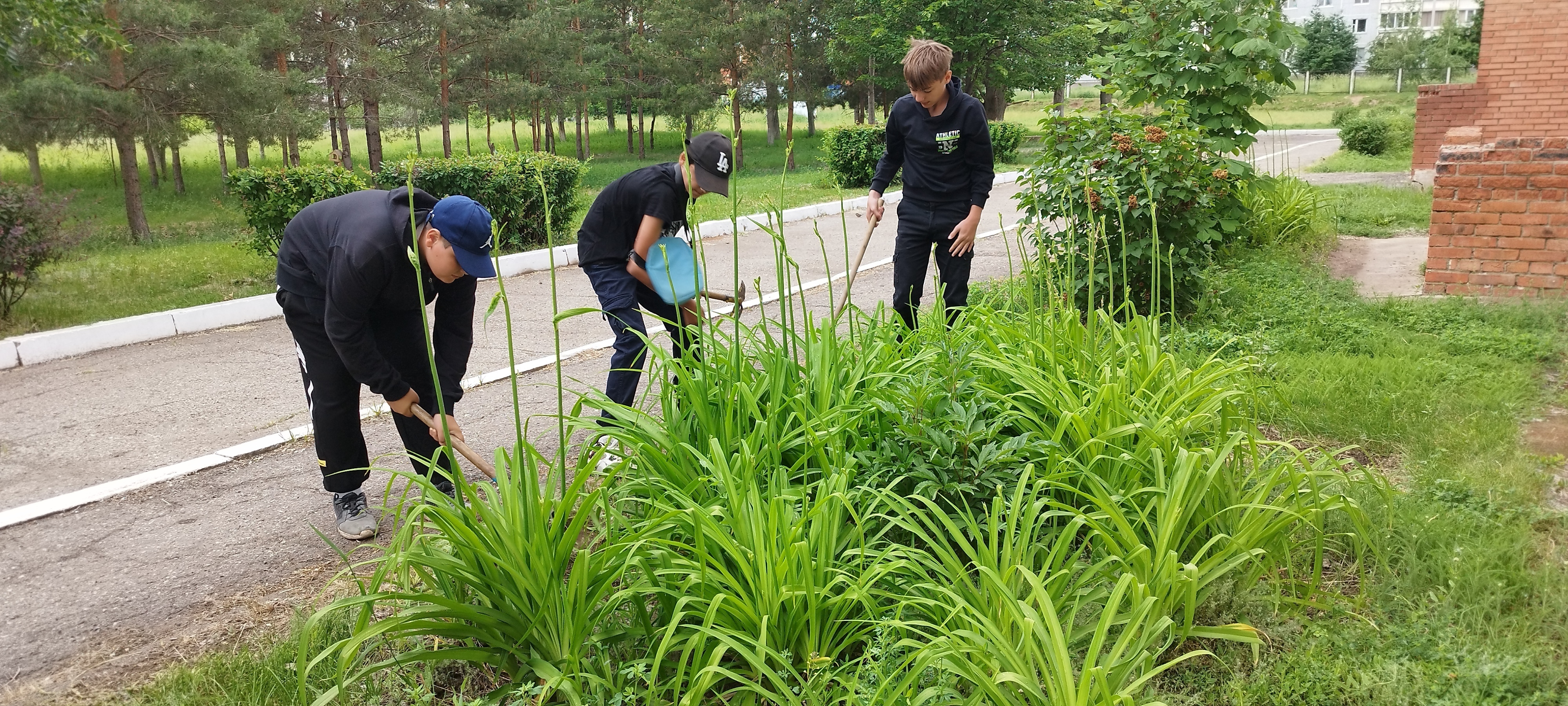 Трудовой лагерь в действии! Работа кипит!.