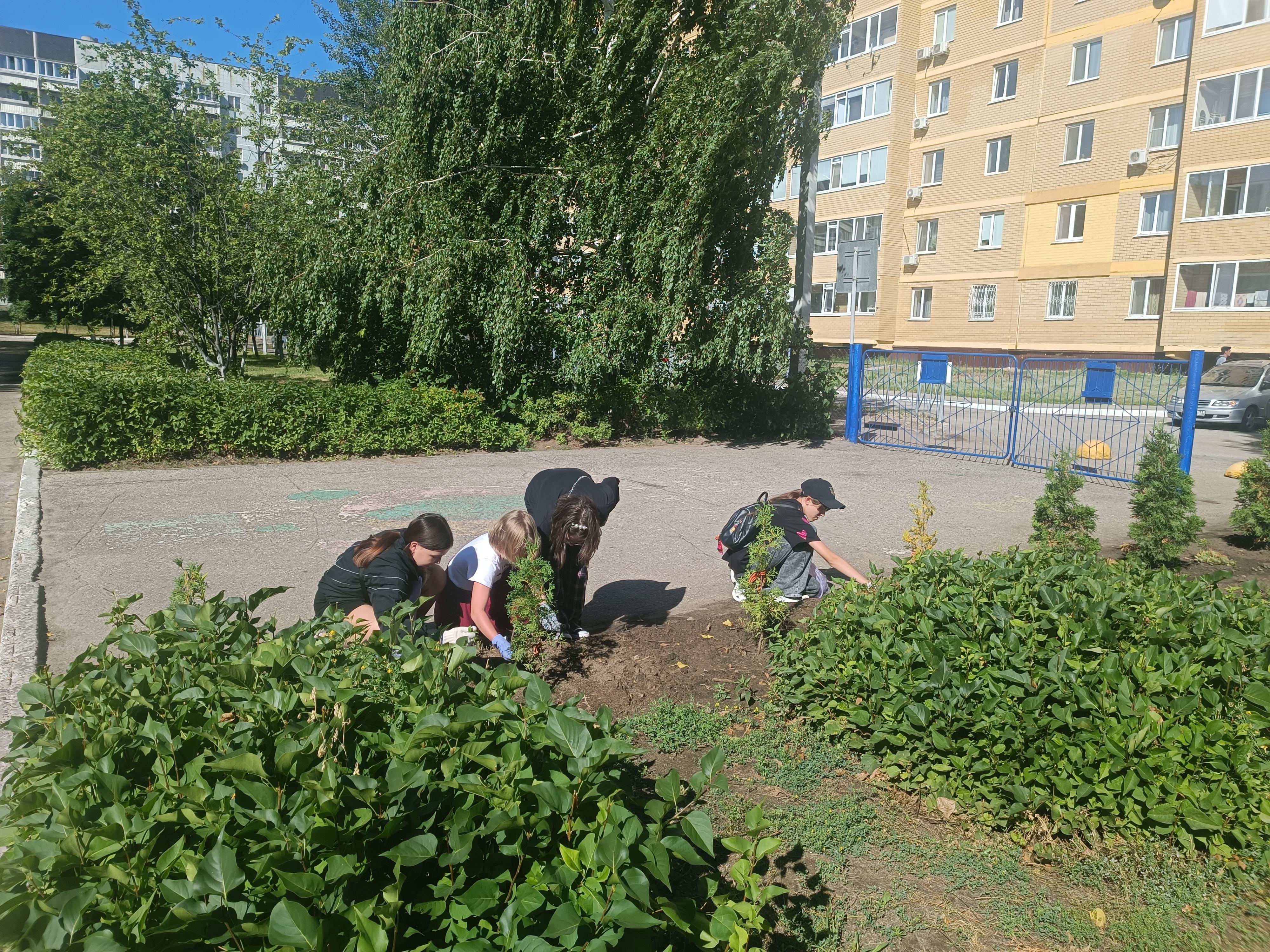 Учащиеся 7Г и 7Д классов продолжают работать на пришкольном участке..