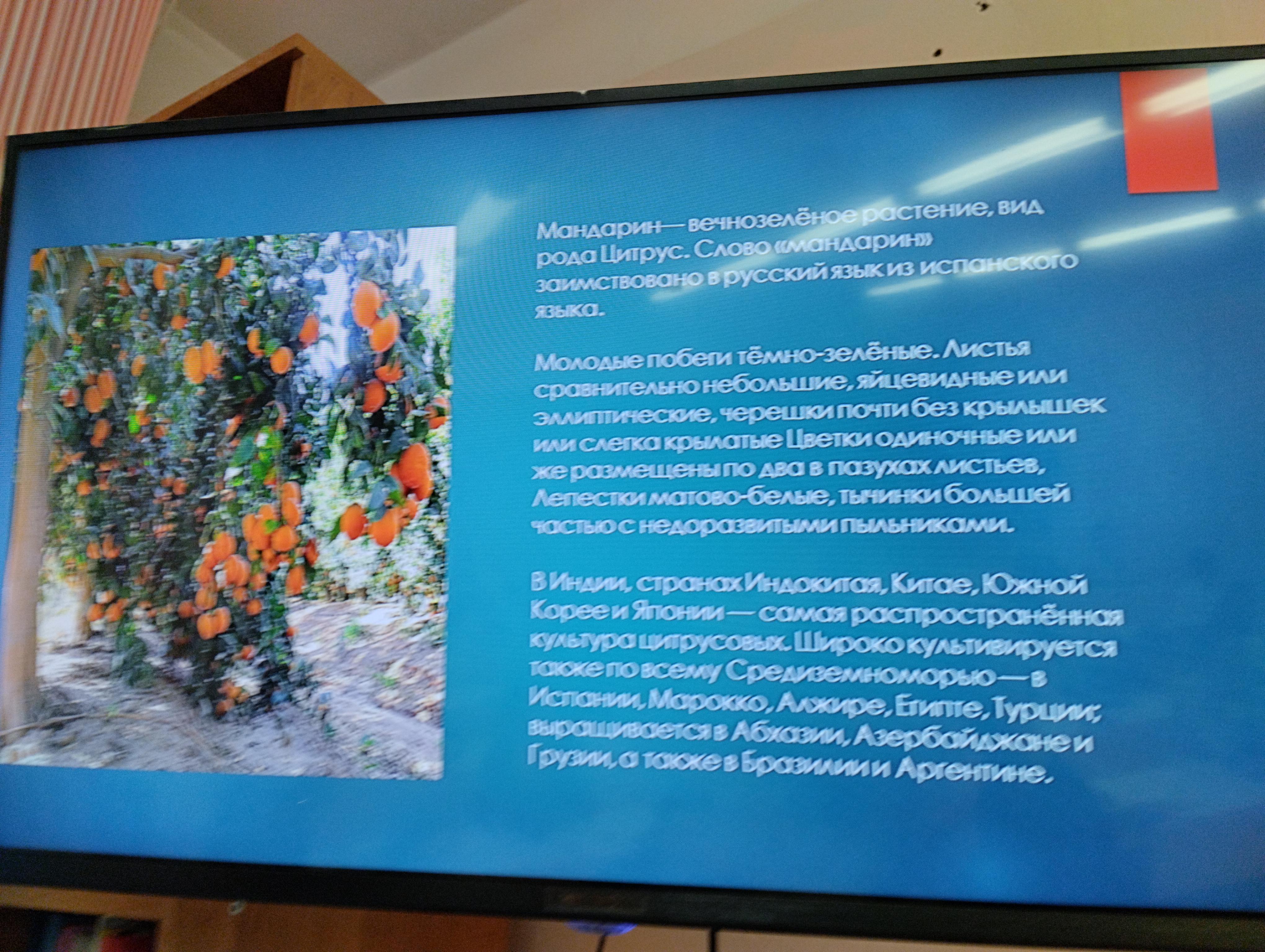 Сегодня в 4г прошла защита проектов, и это было невероятно интересно!.