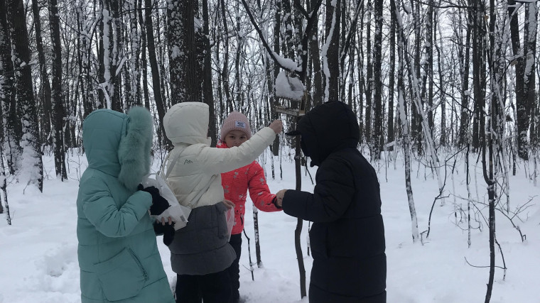 «Помоги птицам зимой».