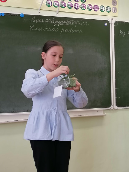 Защита проектов НОУ "Истоки".