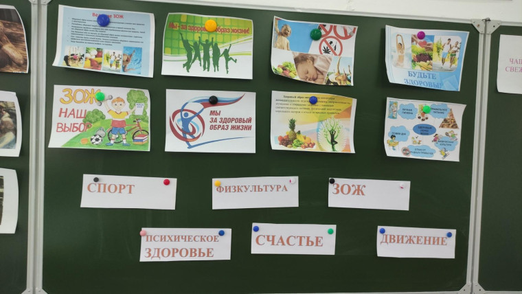 «Час с наставником»..