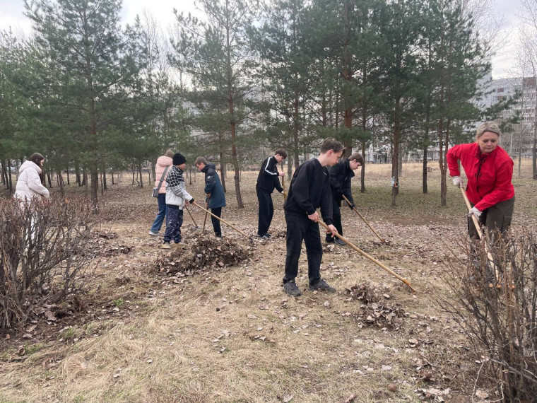 Субботник "Наводим чистоту"-7В.