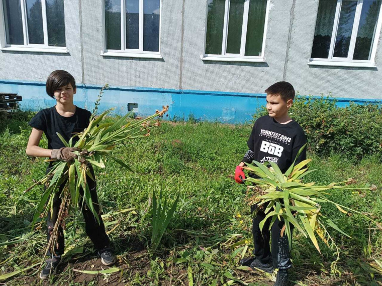 Дружный коллектив 5В класса.